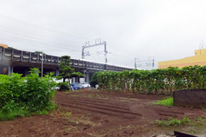 大豆戸町内には農地や駐車場が数多く残っているため、今後も再開発が行われる可能性がある