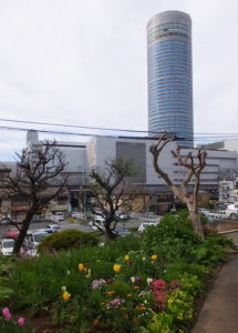 加藤さんの庭付近から眺める新横浜の高層ビル。都会の喧騒を忘れさせてくれる（2017年4月18日）