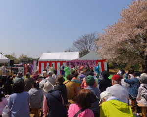大倉山さくらまつりは第8回目の開催となる。メインイベントは小雨決行とのこと（2018年3月開催時、太尾南公園）