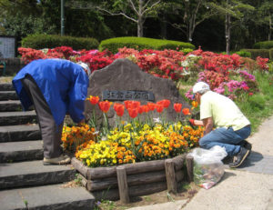 大倉山公園花壇（大倉山2）も今回初参加となる。公園愛護会のメンバーが花壇の手入れを行っている（2019年4月18日、公益財団法人大倉精神文化研究所提供）