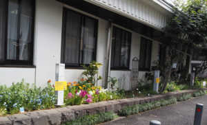 地域ボランティアと職員が手入れをしているという「横浜市城郷小机地域ケアプラザ花壇」は今回初参加となる（3月19日）