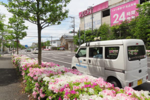 イオン横浜新吉田店付近でもツツジが満開に。通りかかる車も二輪車も心地よさそう