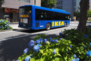 「IKEA港北」（都筑区折本町）と新横浜駅付近を結ぶ無料シャトルバスも紫陽花（あじさい）の色鮮やかな青と響き合う（5月29日）