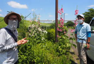 ホタルの放流や生きものの観察会を担当した鶴見川流域ネットワーキングの阿部裕治さん（右）