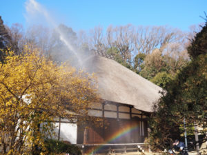 毎年の恒例でおこなわれてきた新羽・西方寺での「第69回文化財防火デー」消防訓練。3年ぶりの開催を印象づける青空と虹、また見ごろとなった蝋梅（ろうばい）が風景を彩っていた（1月26日）