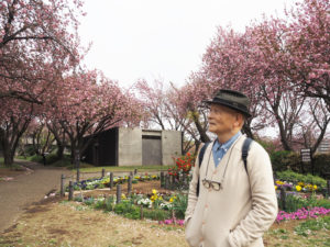 菊名桜山公園愛護会（桜の森を守る会）会長の清水さん。「かつて第一カーボンの社長宅が隣接地にあり、八重桜を植えたようです」と、公園が整備される半世紀前にサトザクラが約200本（現在は約150本）植えられた経緯を語る（4月7日）