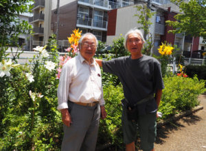 大倉山在住者からの「寄付金」などで植えたユリの花が見ごろに。花壇の手入れを行う「新田緑道～四季の道・健康の道公園愛護会」の浅倉会長と下村さん
