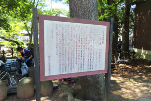 横浜市教育委員会が「横浜市地域史跡」として1989（平成元）年3月に設置した看板が「いの池」の由来を伝える