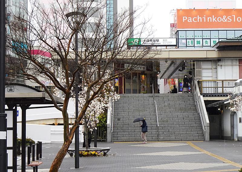 アースワークの地平 環境芸術から都市空間まで アースワークの地平