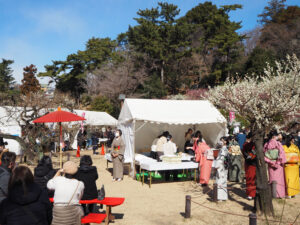 英理女子学院高校による「野点」の様子。今年(2026年)は茶道部や有志の生徒20人超が参加する予定