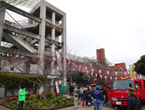 太尾新道沿い、鶴見川河川敷にも近い太尾南公園(大倉山7)と周辺の太尾堤緑道(同)で開催されている(2024年3月)