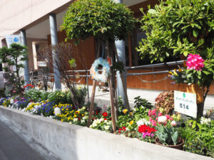 大豆戸町内会館「ま~め~どの庭」(菊名7)も昨年(2025年)に初登場。今年も新たな会場との出会いも楽しみにしたい(4月18日)